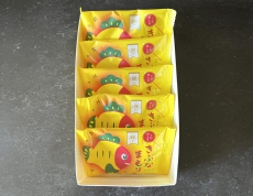 きぶなまもり5個入り